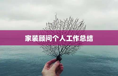 家装顾问个人工作总结