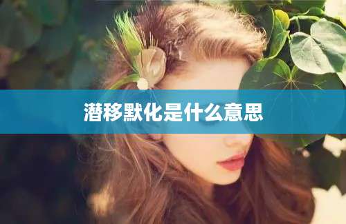潜移默化是什么意思