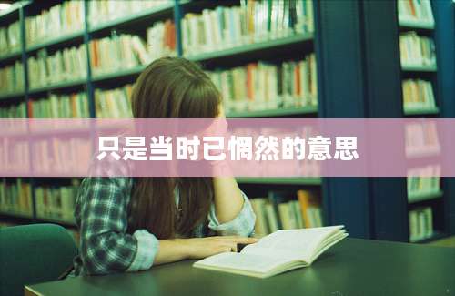 只是当时已惘然的意思