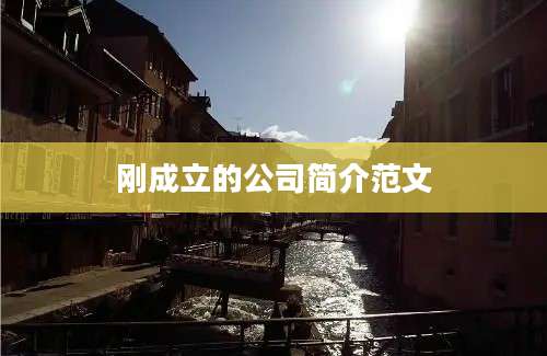 刚成立的公司简介范文