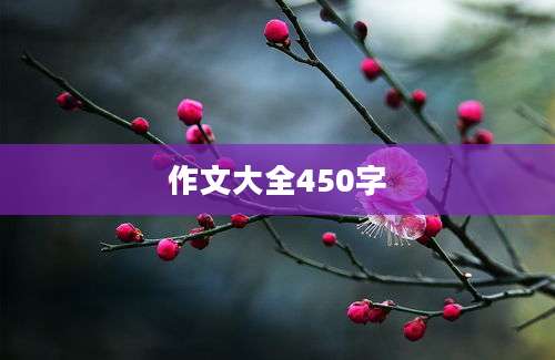 作文大全450字