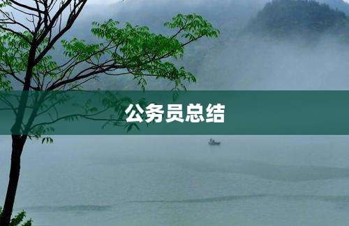 公务员总结