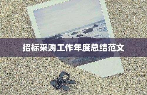 招标采购工作年度总结范文