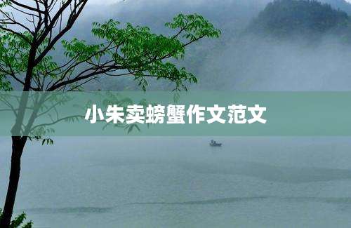 小朱卖螃蟹作文范文