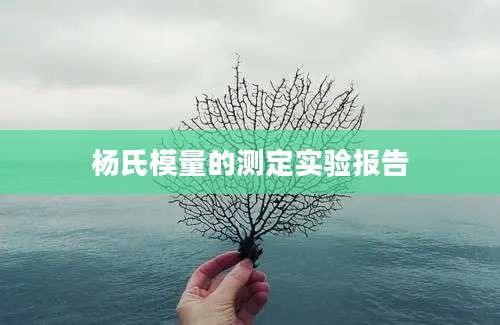 杨氏模量的测定实验报告