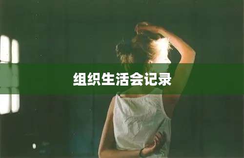 组织生活会记录