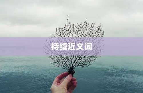 持续近义词