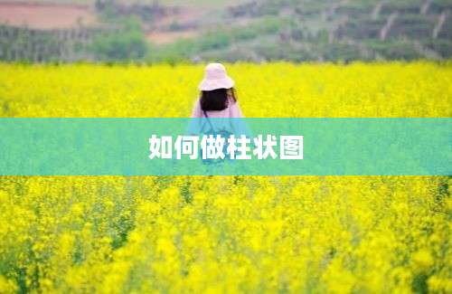 如何做柱状图