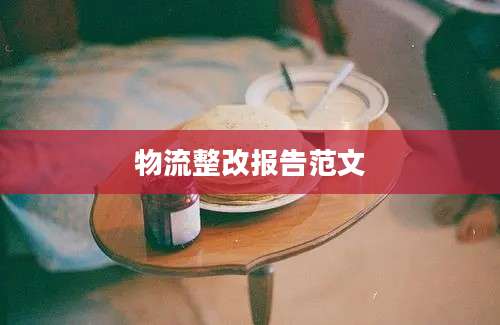 物流整改报告范文