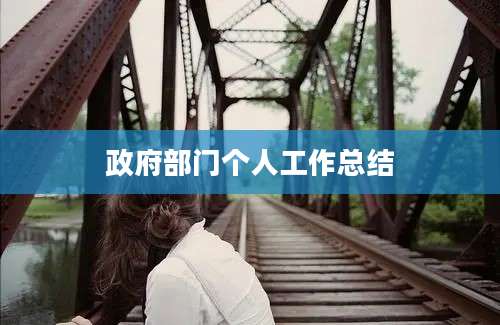 政府部门个人工作总结