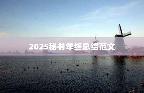 2025秘书年终总结范文