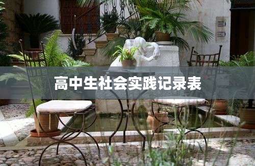 高中生社会实践记录表