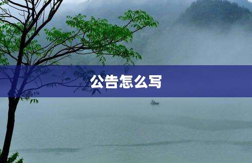 公告怎么写