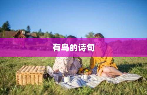 有鸟的诗句