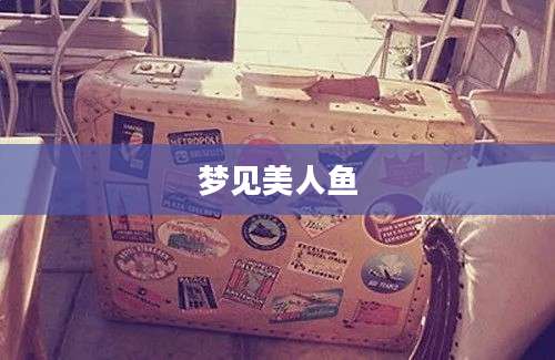 梦见美人鱼