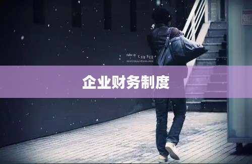 企业财务制度