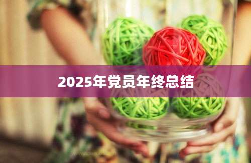 2025年党员年终总结