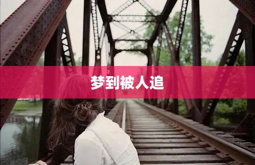 梦到被人追