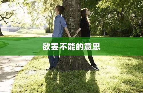 欲罢不能的意思