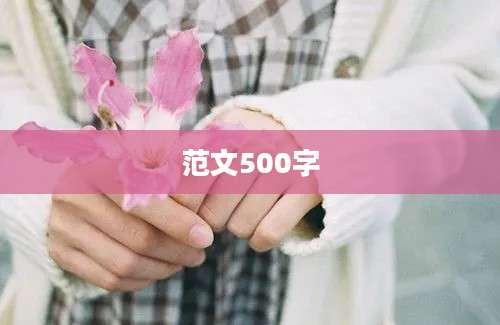 范文500字