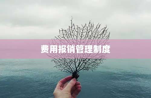 费用报销管理制度