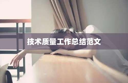 技术质量工作总结范文