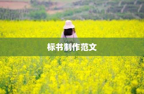 标书制作范文