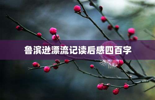 鲁滨逊漂流记读后感四百字