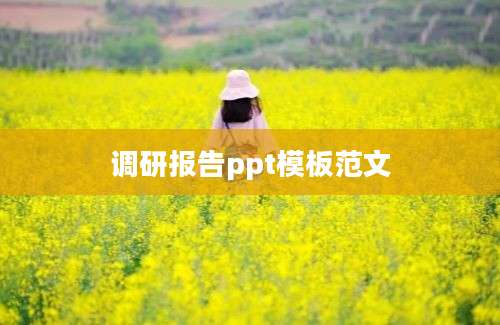 调研报告ppt模板范文