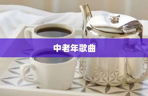 中老年歌曲