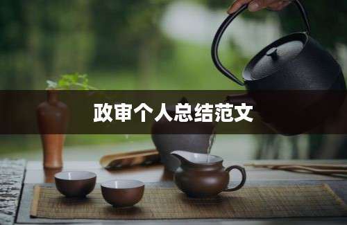政审个人总结范文