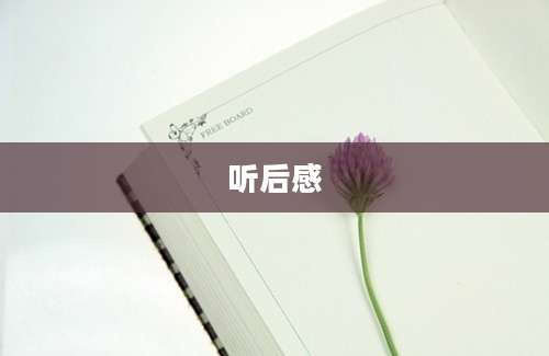 听后感
