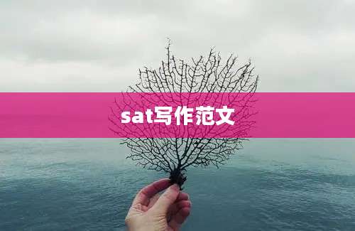 sat写作范文
