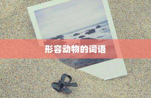 形容动物的词语