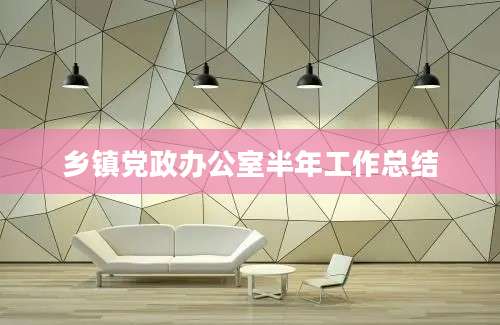 乡镇党政办公室半年工作总结