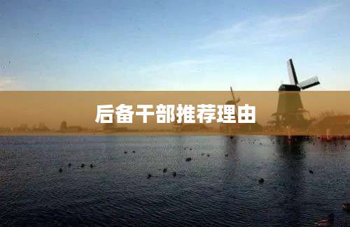 后备干部推荐理由