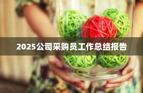 2025公司采购员工作总结报告