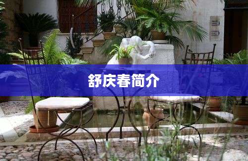 舒庆春简介