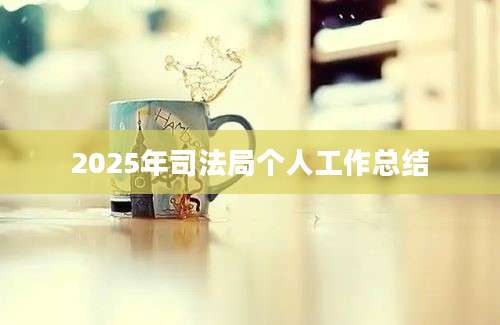 2025年司法局个人工作总结
