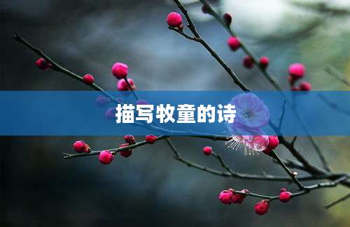 描写牧童的诗