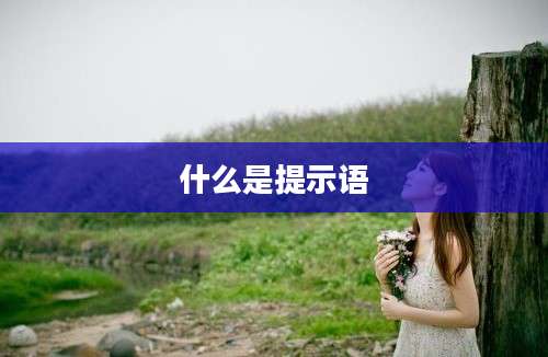 什么是提示语