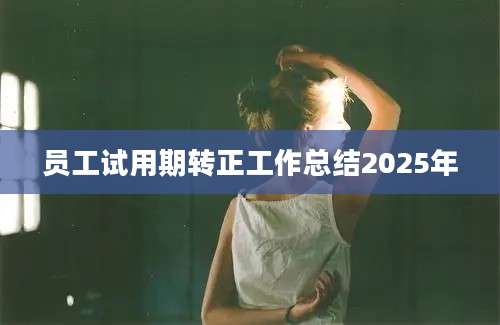 员工试用期转正工作总结2025年