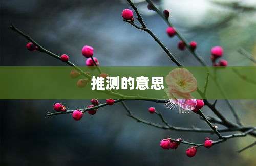 推测的意思