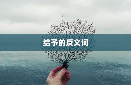 给予的反义词