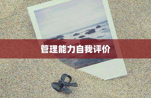 管理能力自我评价