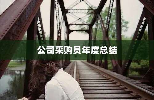 公司采购员年度总结