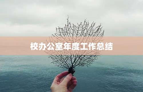 校办公室年度工作总结