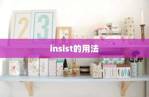 insist的用法