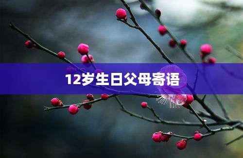 12岁生日父母寄语