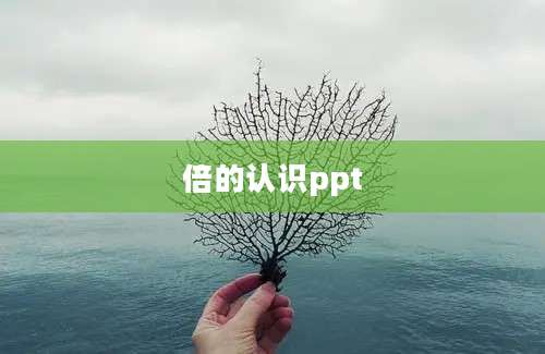 倍的认识ppt